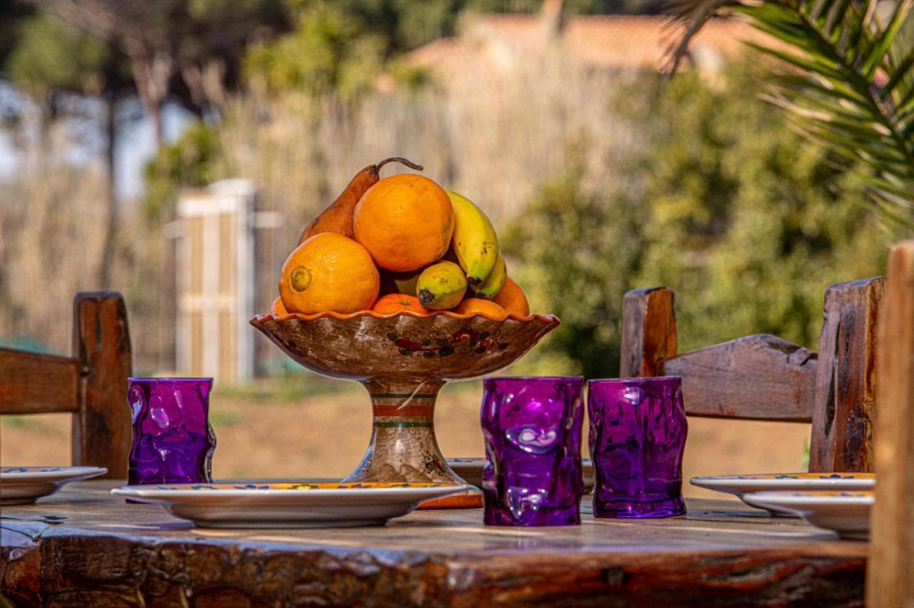 Giannella Tuscany Holidays Exterior photo